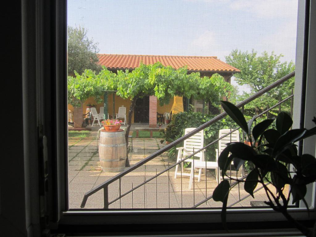 Agriturismo La Carlina *