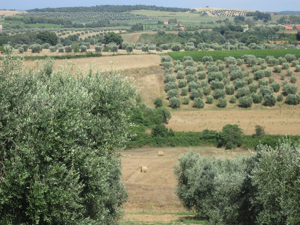 Agriturismo La Carlina *